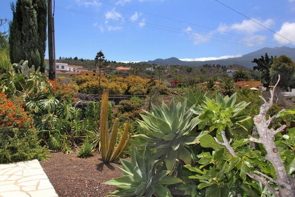 Jardin de Aridane Hotel El Paso Bagian luar foto